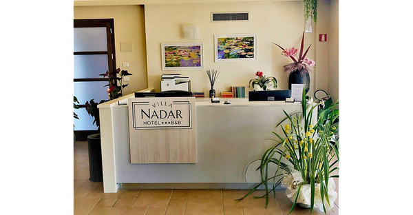 Toscane - VILLA NADAR - Hotel e B&B a Lucca - Reception 